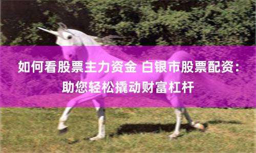 如何看股票主力资金 白银市股票配资：助您轻松撬动财富杠杆