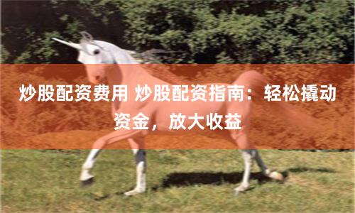 炒股配资费用 炒股配资指南：轻松撬动资金，放大收益