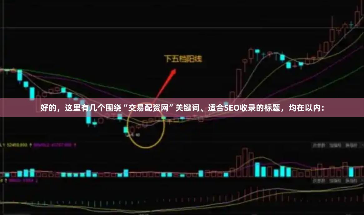 好的，这里有几个围绕“交易配资网”关键词、适合SEO收录的标题，均在以内：